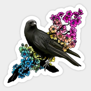 Pan Crow Sticker